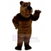 Ours costume de mascotte