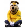 Ours costume de mascotte