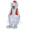 Ours costume de mascotte