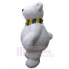 Ours costume de mascotte