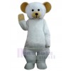 Ours costume de mascotte