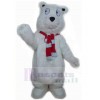 Ours costume de mascotte