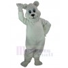 Ours costume de mascotte