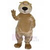 Ours costume de mascotte