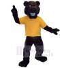 Ours costume de mascotte