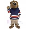 Ours costume de mascotte