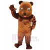 Ours costume de mascotte