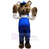 Ours costume de mascotte