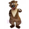 Ours costume de mascotte