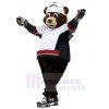 Ours costume de mascotte