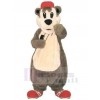 Ours costume de mascotte