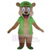 Ours costume de mascotte