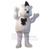 Ours costume de mascotte