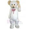 Ours costume de mascotte