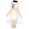 Ours costume de mascotte