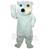 Ours costume de mascotte
