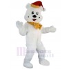 Ours costume de mascotte