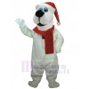 Ours costume de mascotte