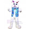Lapin costume de mascotte