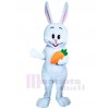 Lapin costume de mascotte