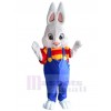 Lapin costume de mascotte