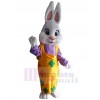 Lapin costume de mascotte