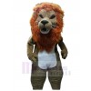 Lion costume de mascotte