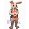 Lapin de Pâques costume de mascotte