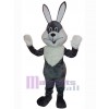 Lapin de Pâques costume de mascotte