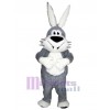 Lapin de Pâques costume de mascotte
