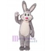 Lapin de Pâques costume de mascotte