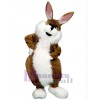 Lapin de Pâques costume de mascotte