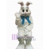 Lapin de Pâques costume de mascotte