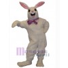Lapin de Pâques costume de mascotte