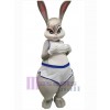 Lapin de Pâques costume de mascotte