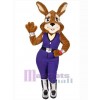 Lapin de Pâques costume de mascotte