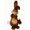 Lapin de Pâques costume de mascotte