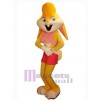 Lapin de Pâques costume de mascotte