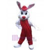 Lapin de Pâques costume de mascotte