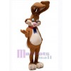Lapin de Pâques costume de mascotte