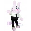 Lapin de Pâques costume de mascotte