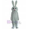 Lapin de Pâques costume de mascotte