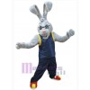 Lapin de Pâques costume de mascotte