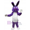 Lapin de Pâques costume de mascotte