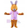 Lapin de Pâques costume de mascotte