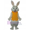 Lapin de Pâques costume de mascotte