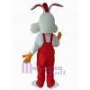 Lapin de Pâques costume de mascotte