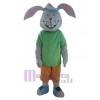 Lapin de Pâques costume de mascotte
