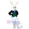 Lapin de Pâques costume de mascotte