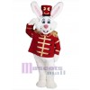 Lapin de Pâques costume de mascotte